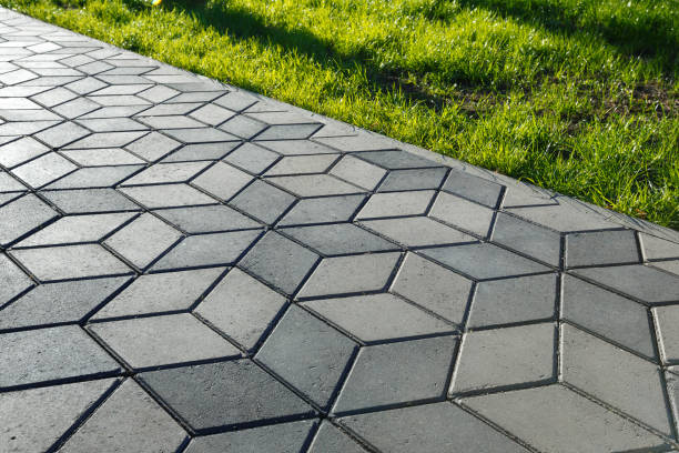 Best Driveway Paving Contractor  in Grant, MN