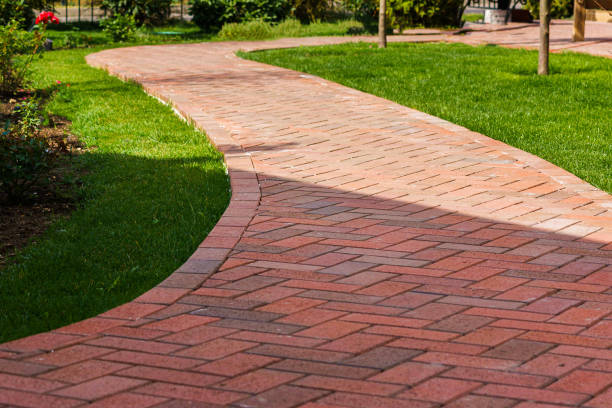 Best Driveway Paving Contractor  in Grant, MN