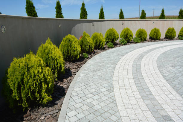 Best Decorative Driveway Pavers  in Grant, MN